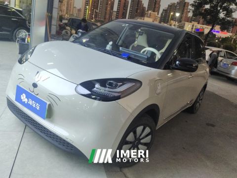 2023 Wuling Bingo Binguo 333km Joy Edition - car from China