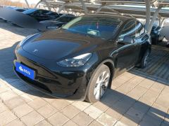 Tesla Model Y 545km Rear-Wheel Drive Edition - photo 1