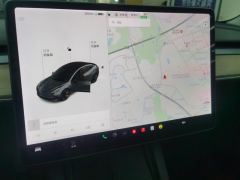 Tesla Model 3 Standard Range Edition 3D6 - фото 17