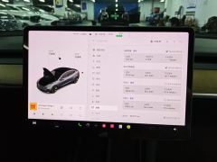 Tesla Model 3 Standard Range Edition 3D6 - фото 20
