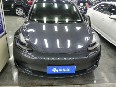 Tesla Model 3 Standard Range Edition 3D6 - фото 3