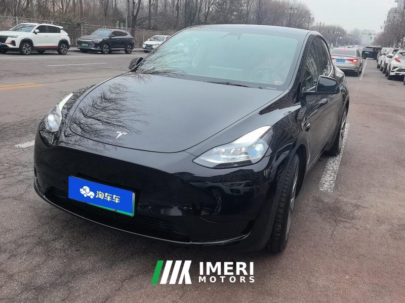 Tesla Model Y 545km Rear-Wheel Drive Edition - car from China