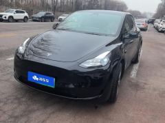 Tesla Model Y 545km Rear-Wheel Drive Edition - photo 1