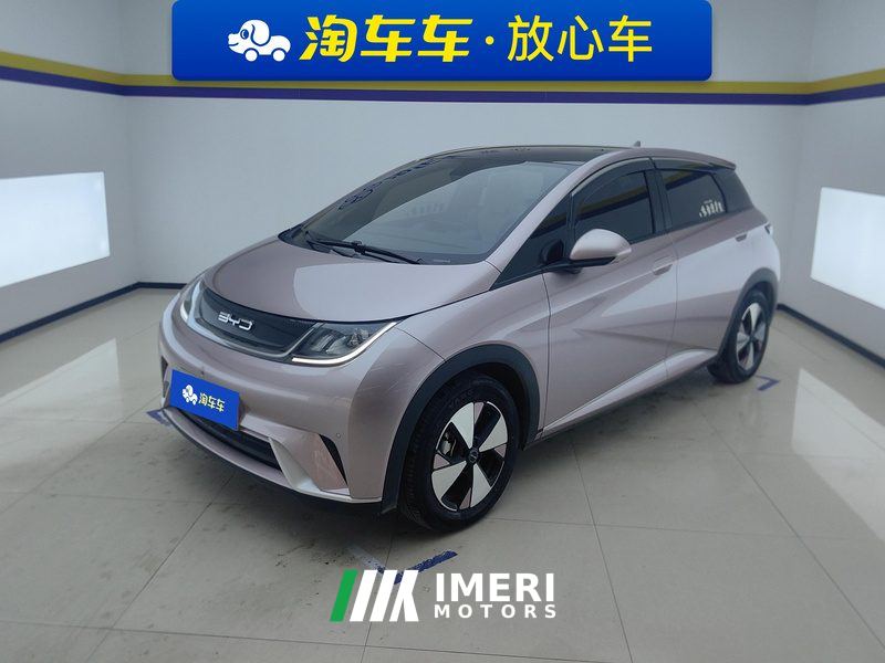 BYD Dolphin 420km Stylish Edition - car from China