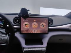BYD Dolphin 420km Stylish Edition - photo 17