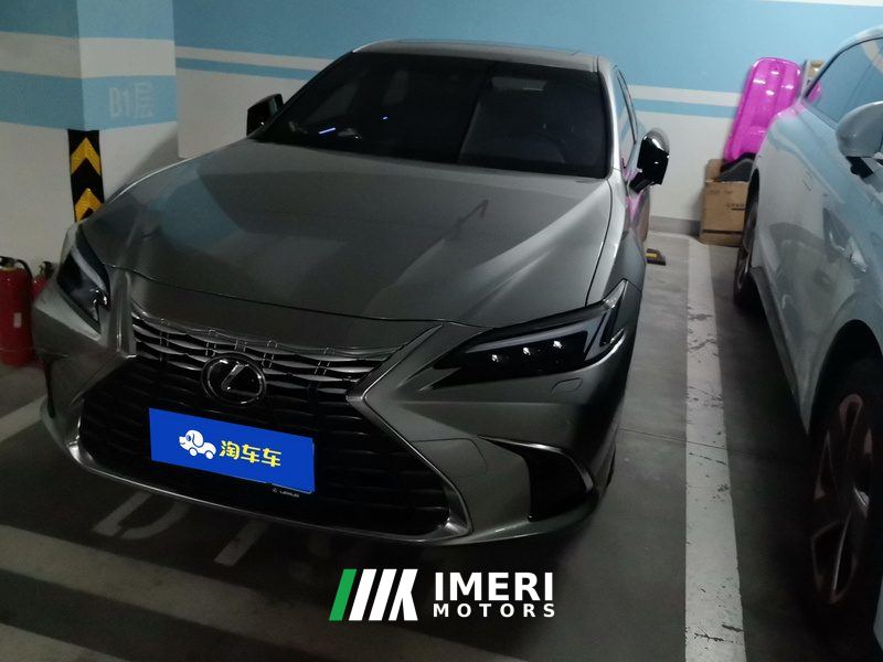 Lexus ES 300h Premium Edition - car from China