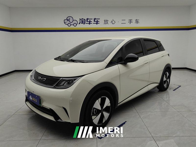 BYD Dolphin 420km Free Version - car from China