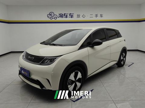 2023 BYD Dolphin 420km Free Version - car from China