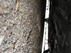 Deepal SL03 EREV 135km Plus - фото 8