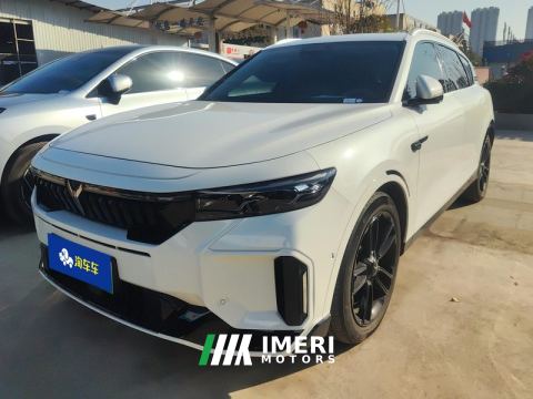 2024 Voyah FREE 210km 4WD Ultra Long Range Intellectual Driving Edition