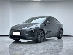 Tesla Model Y 554km Rear-Wheel Drive Edition - ფოტო 1