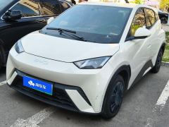 BYD Seagull Honor Edition 305km Free Version - photo 1