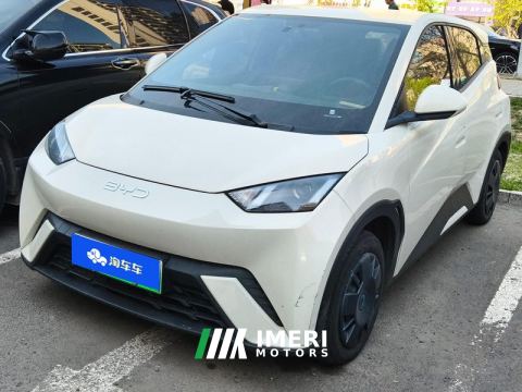 2024 BYD Seagull Honor Edition 305km Free Version - ავტომობილი ჩინეთიდან