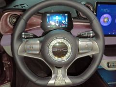 BYD Dolphin 405km Stylish Edition - ფოტო 18