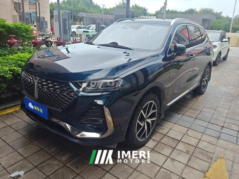 2022 Great Wall PHEV 1.5T 184km 2WD - car from China