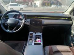 Roewe RX5 PLUS 300TGI AliLuxury Edition - ფოტო 16