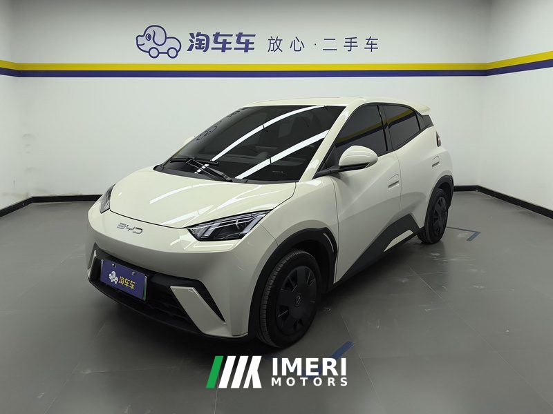 BYD Seagull 305km Vitality Edition - ავტომობილი ჩინეთიდან