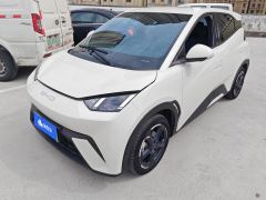 BYD Seagull 305km Free Version - ფოტო 1