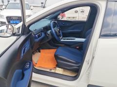 BYD Seagull 305km Free Version - ფოტო 14