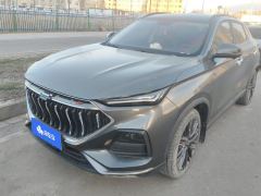 Oshan X5 1.5T Flagship Version - ფოტო 1