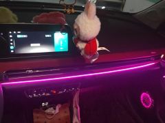 ORA Good Cat GT Mulan Edition 480km Long Range Standard Edition - ფოტო 17