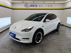 Tesla Model Y 554km Rear-Wheel Drive Edition - ფოტო 1