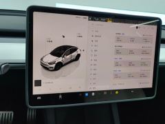 Tesla Model Y 554km Rear-Wheel Drive Edition - ფოტო 20