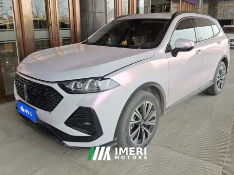 2022 Great Wall Wei brand latte 1.5T DHT