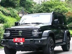 Tank 300 Off-Road Edition 2.0T Conqueror - ფოტო 1