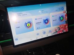 BYD Han DM-i 1.5T 121km Luxury Edition - photo 17