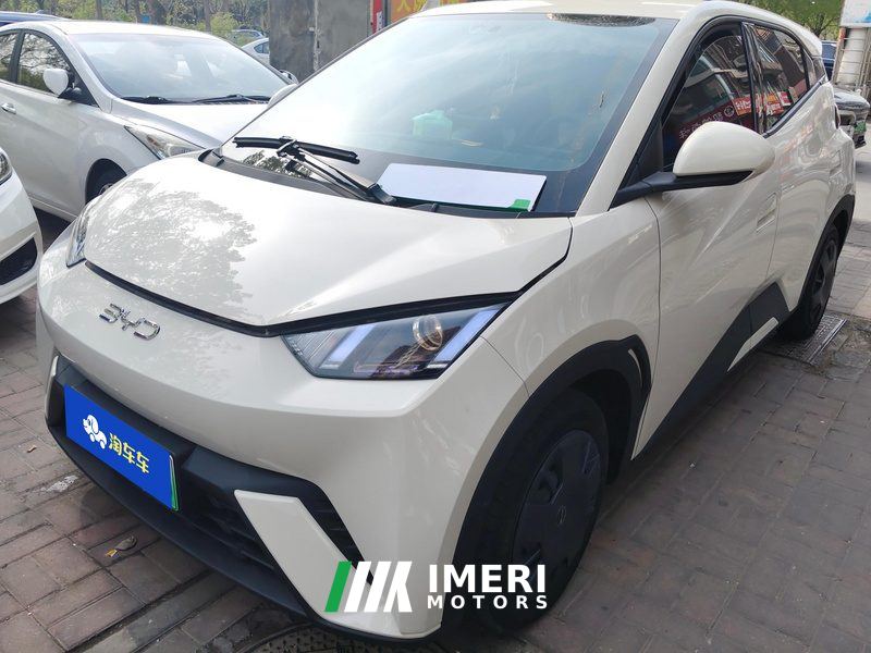 BYD Seagull Honor Edition 305km Vitality Edition - ავტომობილი ჩინეთიდან