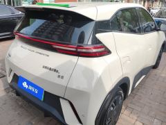 BYD Seagull Honor Edition 305km Vitality Edition - ფოტო 2