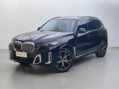 BMW X5 xDrive30Li Deluxe VersionM - photo 1