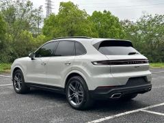 Porsche Cayenne 3.0T Dream Chaser Edition - photo 18