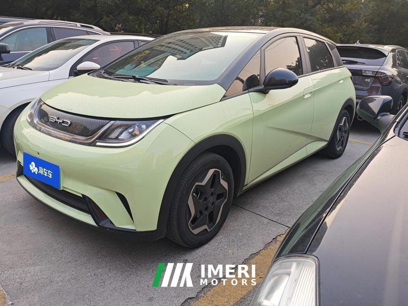BYD Dolphin 405km Free Version - ავტომობილი ჩინეთიდან