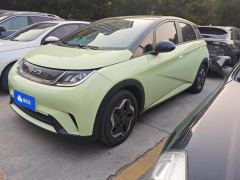 BYD Dolphin 405km Free Version - ფოტო 1