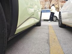 BYD Dolphin 405km Free Version - ფოტო 10