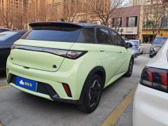 BYD Dolphin 405km Free Version - ფოტო 2