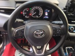 Toyota Asian Lion Asia Lion 2.0L Pioneer Edition - фото 18