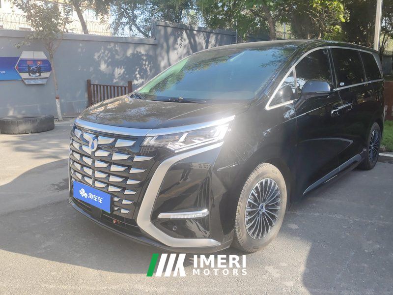 Denza D9 DM-i 1.5T 103km Luxury Version 7 - car from China