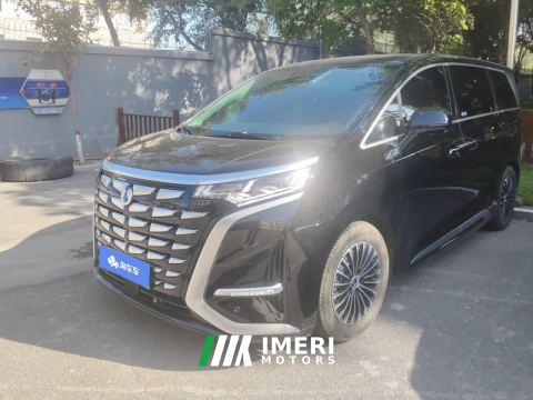2024 Denza D9 DM-i 1.5T 103km Front-wheel drive luxury 7-seater
