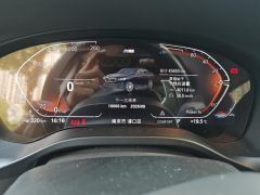 BMW X4 xDrive25i M Sport Package - ფოტო 20