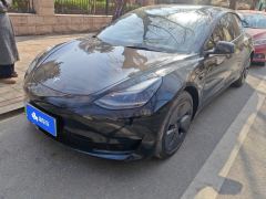 Tesla Model 3 Standard Range Edition 3D6 - ფოტო 1
