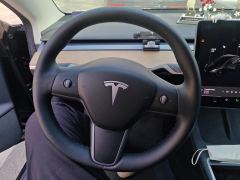 Tesla Model 3 Standard Range Edition 3D6 - ფოტო 18