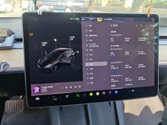 Tesla Model 3 Standard Range Edition 3D6 - ფოტო 20
