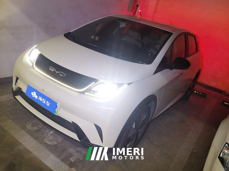 BYD Dolphin 420km Free Version - car from China