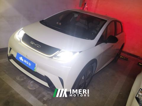 2023 BYD Dolphin 420km Free Version - car from China
