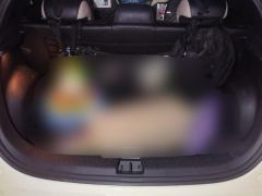BYD Dolphin 420km Free Version - photo 7