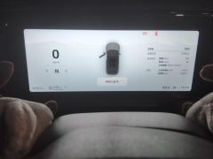 Leapmotor C11 BEV 610km Executive Edition - ფოტო 20