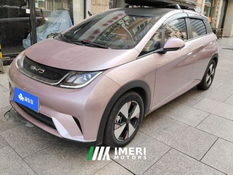 2023 BYD Dolphin 420km Stylish Edition - car from China